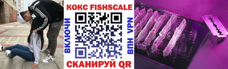 КОКАИН Fish Scale  купить   Сунжа 