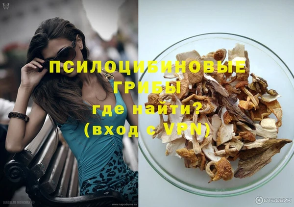 прущие грибы Алзамай