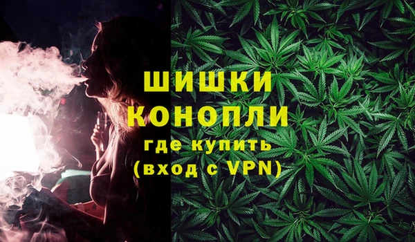 прущие грибы Алзамай