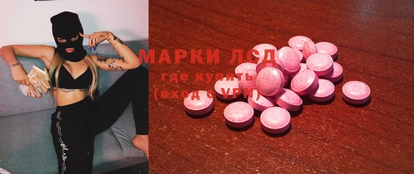 прущие грибы Алзамай