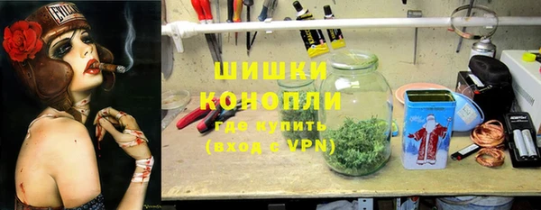 прущие грибы Алзамай