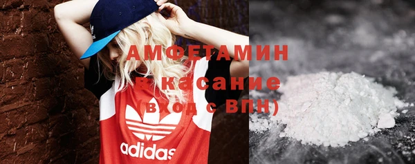 прущие грибы Алзамай
