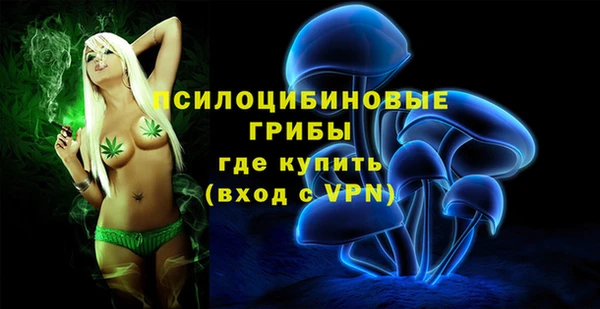 герыч Алексин