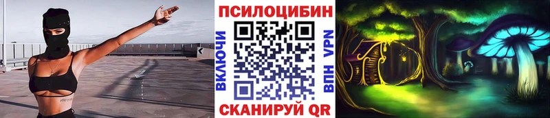 blacksprut как войти  Сунжа  Псилоцибиновые грибы MAGIC MUSHROOMS  где найти  