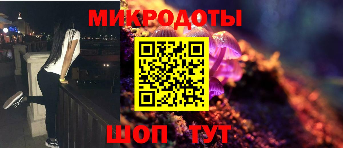 Псилоцибиновые грибы Psilocybine cubensis Сунжа