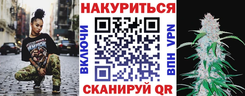 Бошки Шишки план  Сунжа 